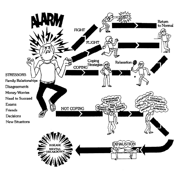 Stress Reaction and Mindfulness